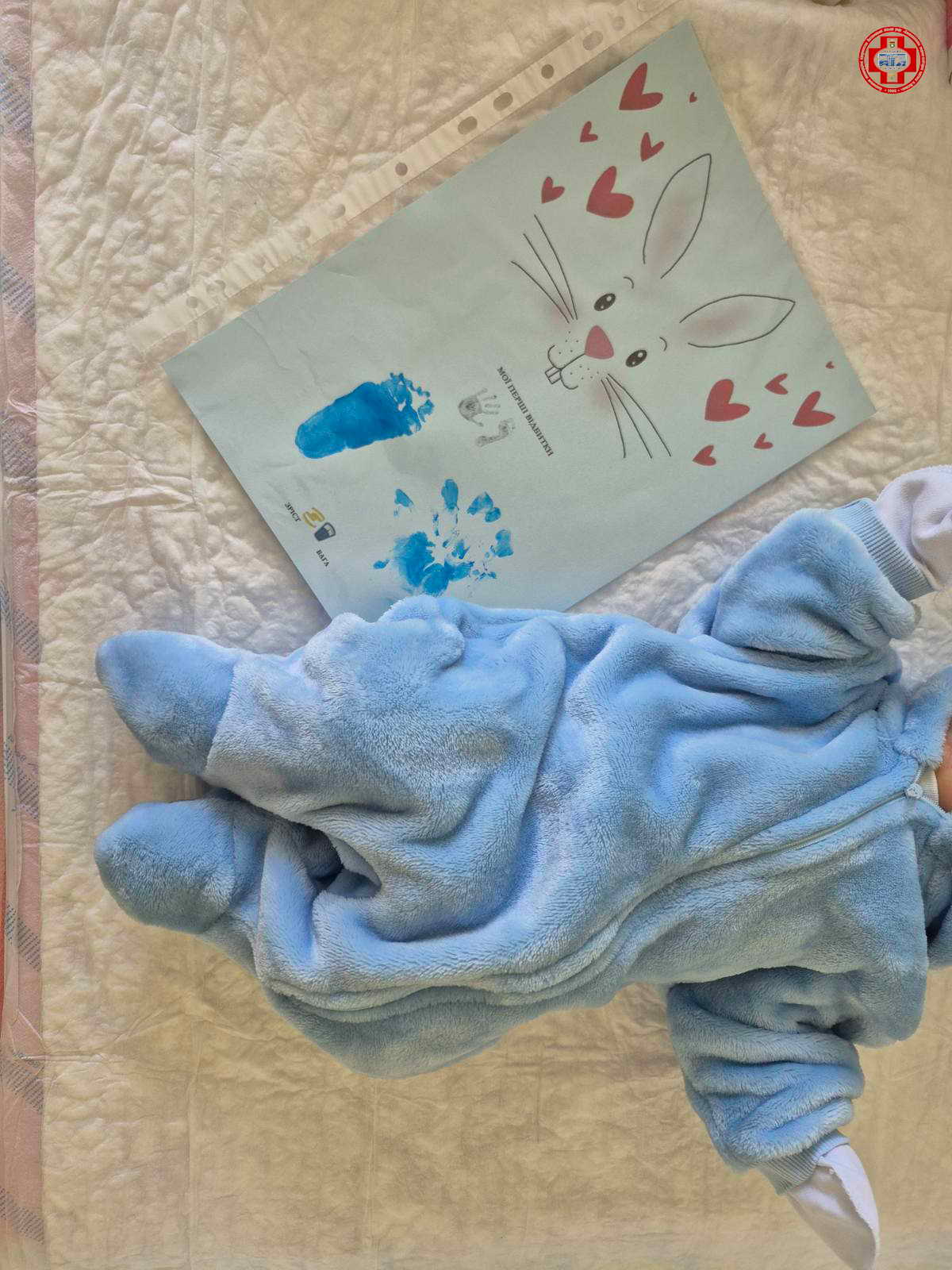 КОМПЛІМЕНТ від АГВ