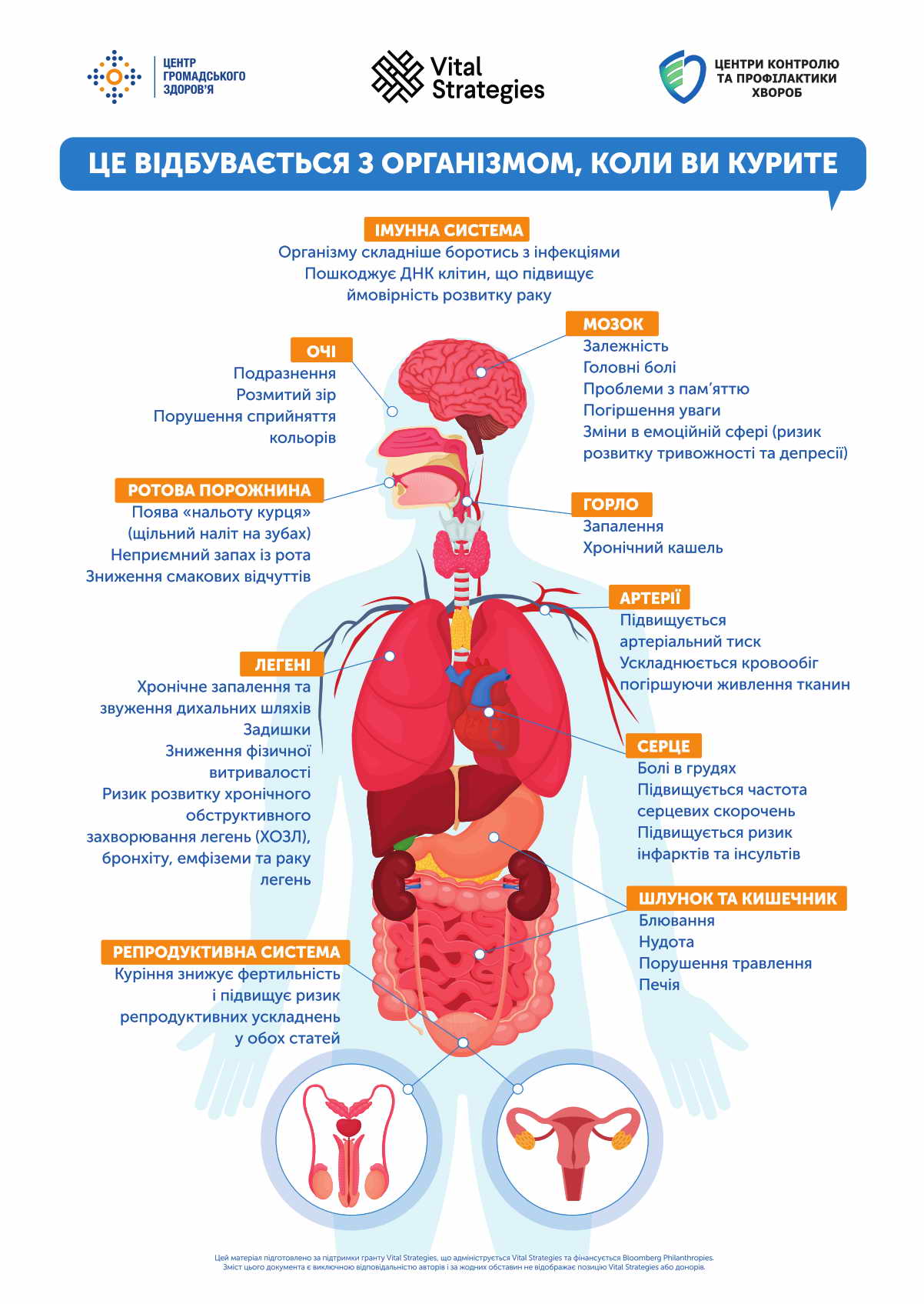 Що насправді стається з організмом, КОЛИ ВИ КУРИТЕ? 